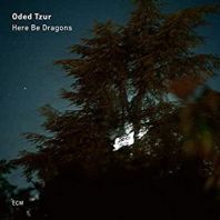 Odedtzur - Here Be Dragons (Vinyl)